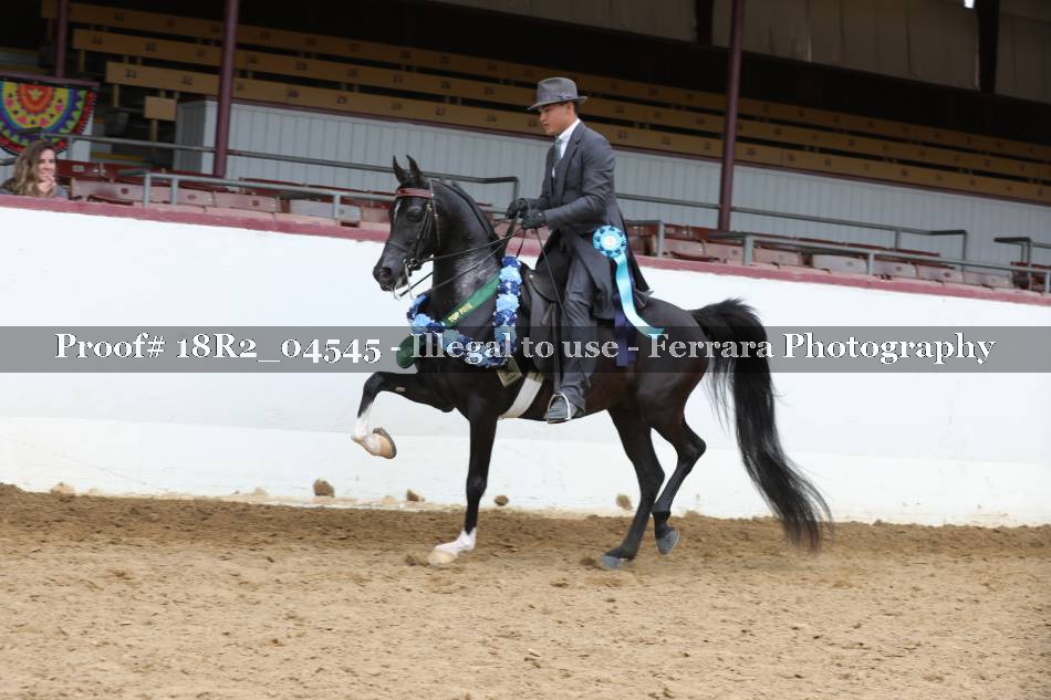 Proof 18R2_04545