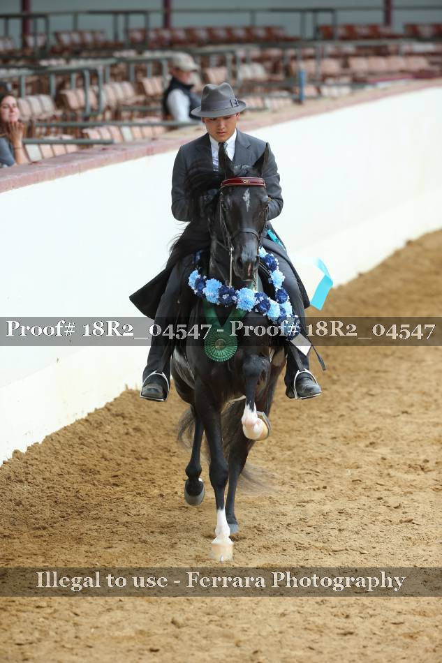 Proof 18R2_04547