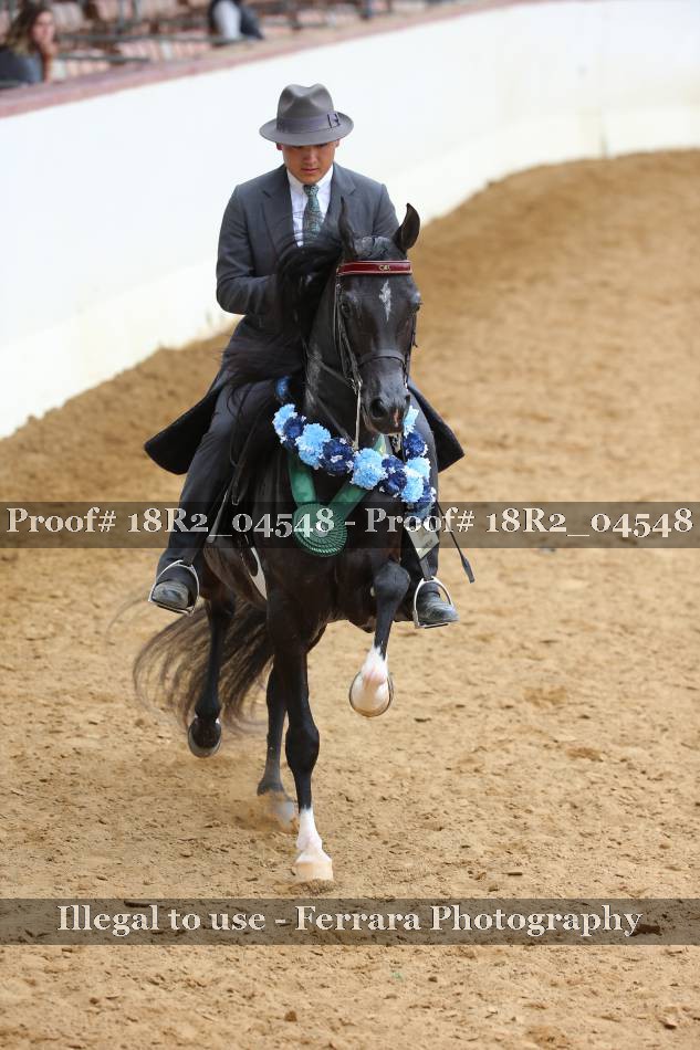 Proof 18R2_04548