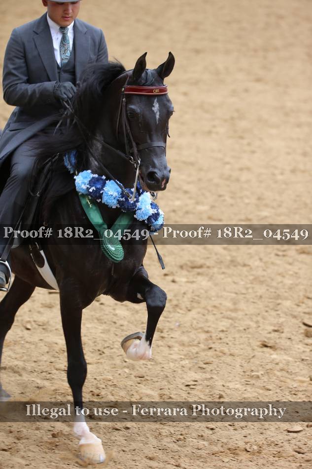 Proof 18R2_04549