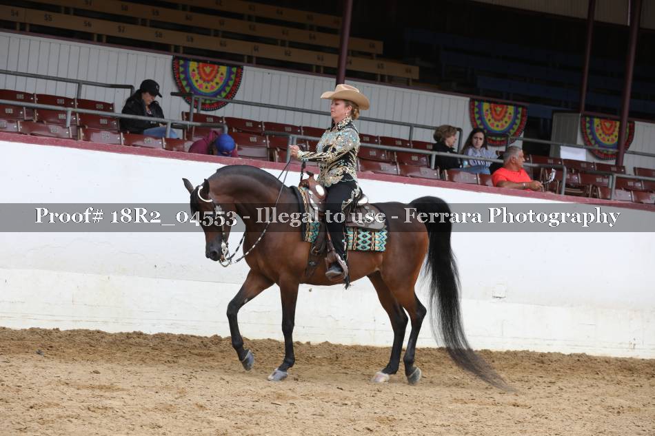 Proof 18R2_04553