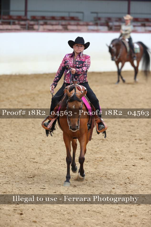 Proof 18R2_04563