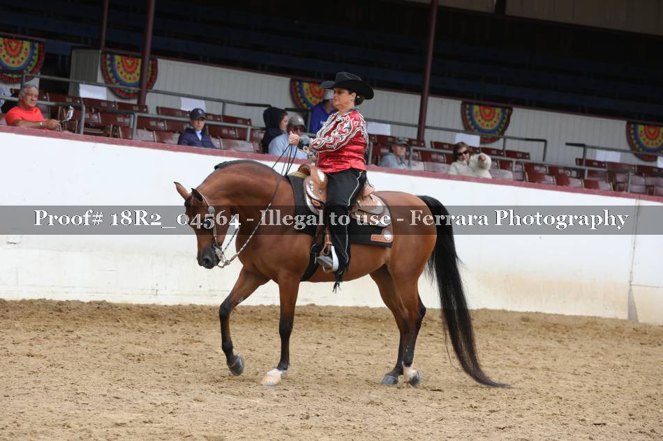Proof 18R2_04564