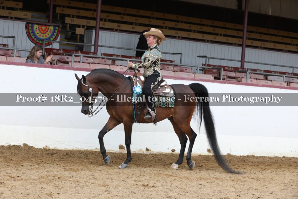 Proof 18R2_04579