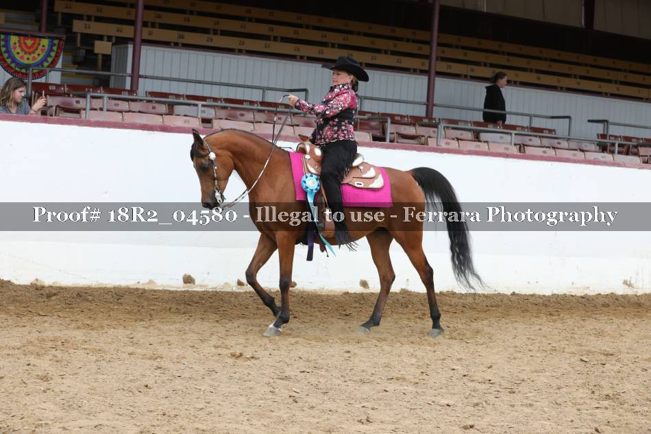 Proof 18R2_04580