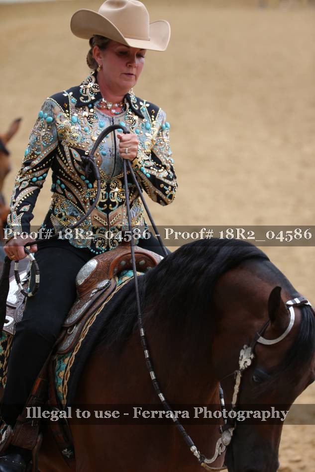 Proof 18R2_04586