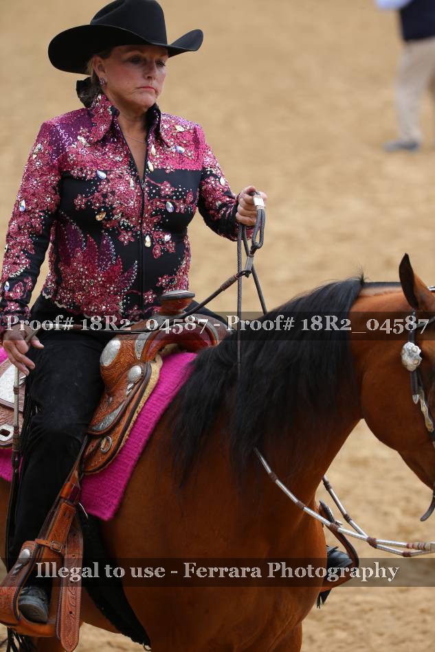 Proof 18R2_04587