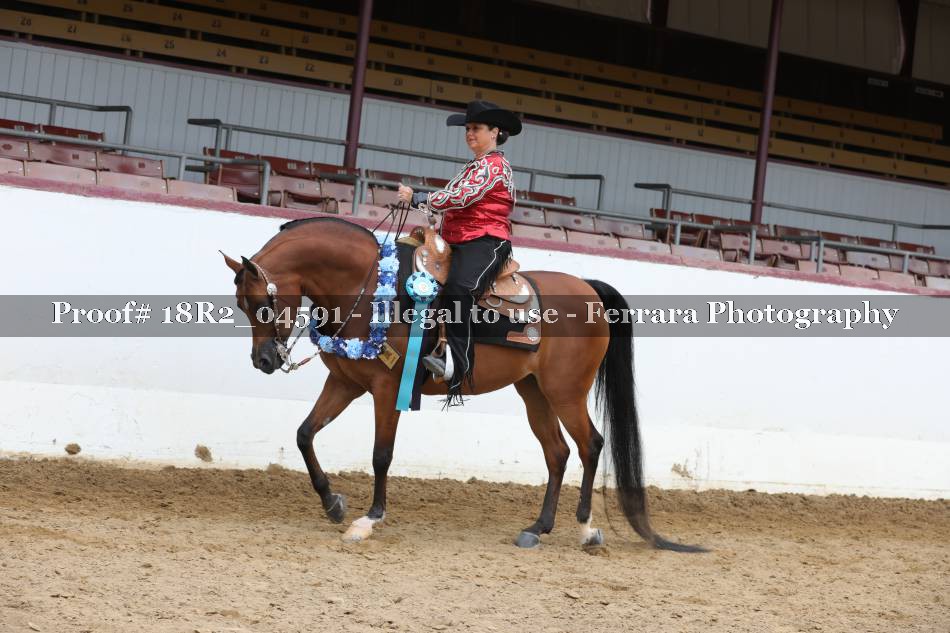 Proof 18R2_04591