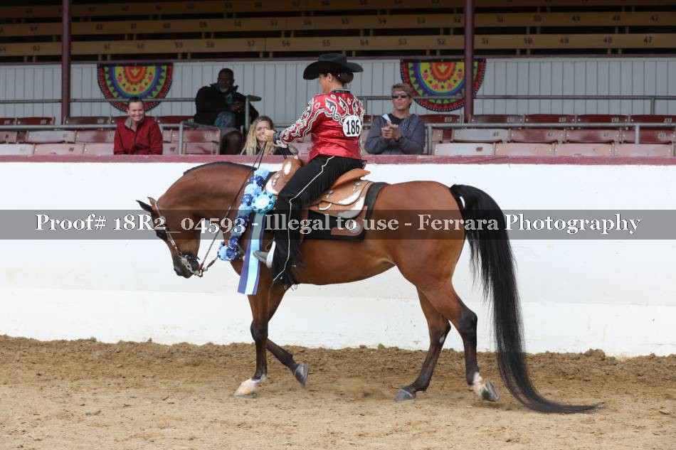 Proof 18R2_04593