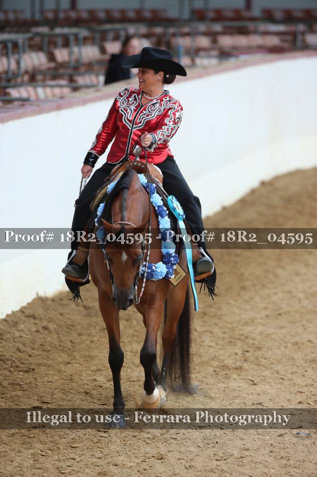 Proof 18R2_04595