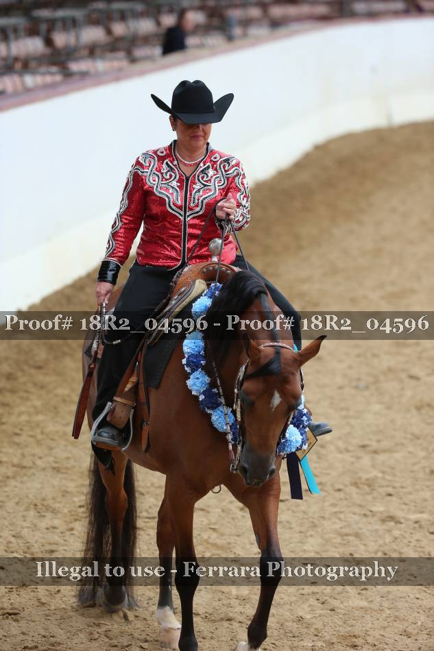 Proof 18R2_04596