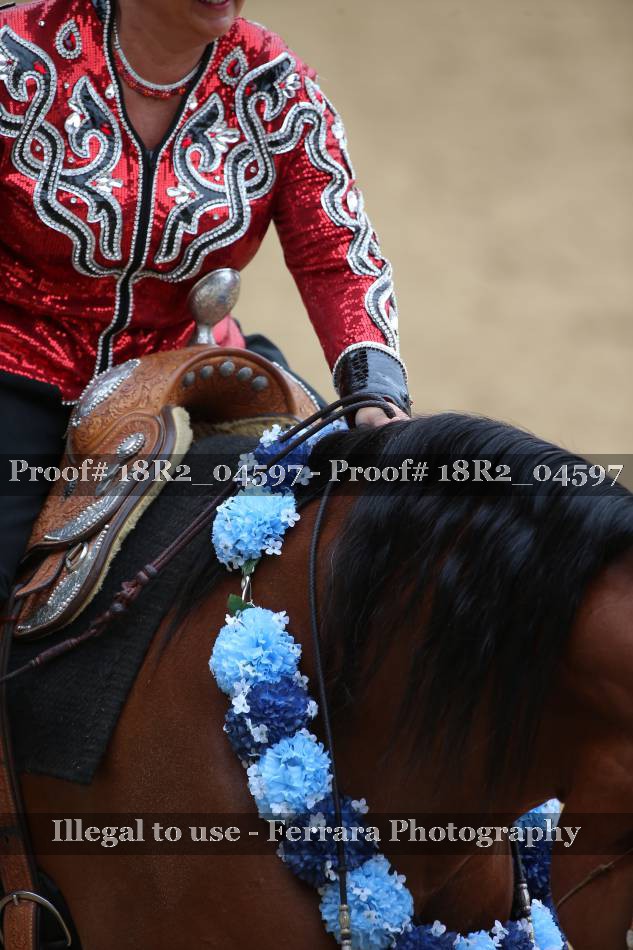 Proof 18R2_04597