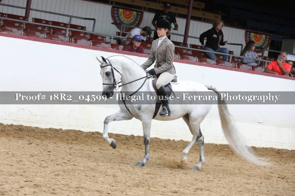 Proof 18R2_04599