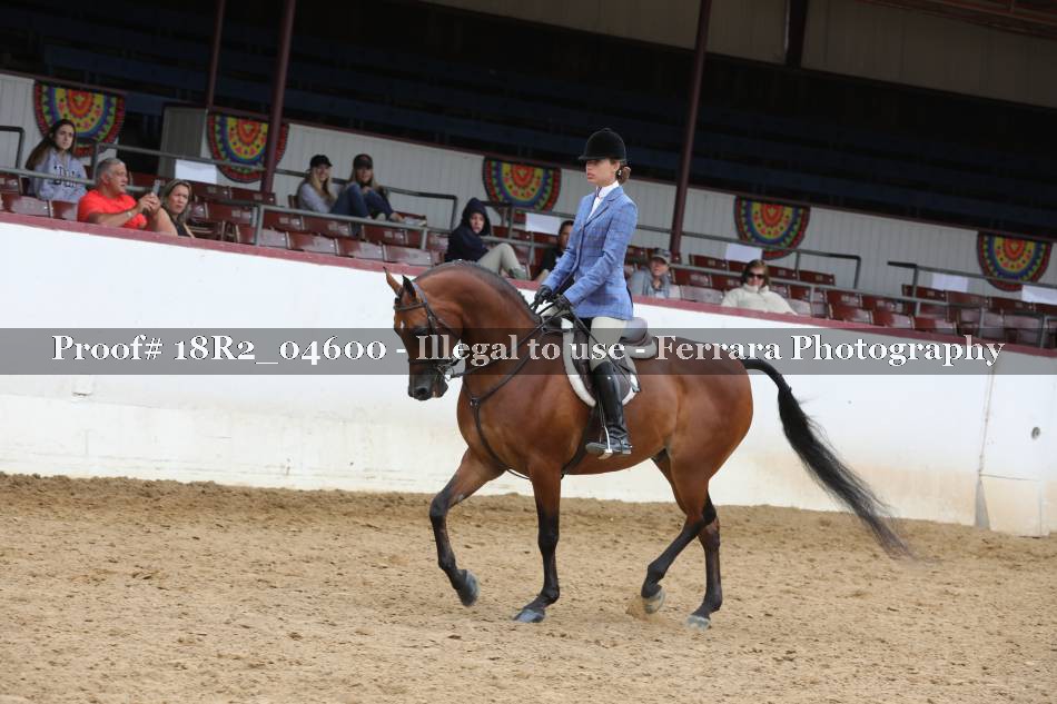 Proof 18R2_04600