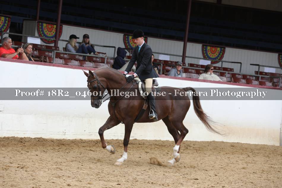 Proof 18R2_04601