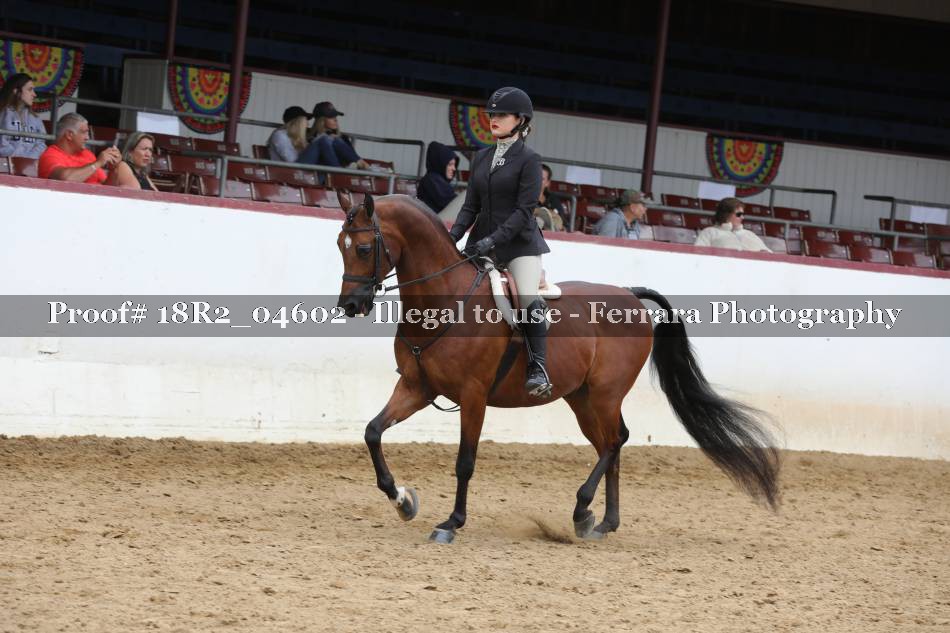 Proof 18R2_04602