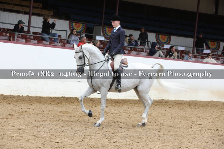 Proof 18R2_04603