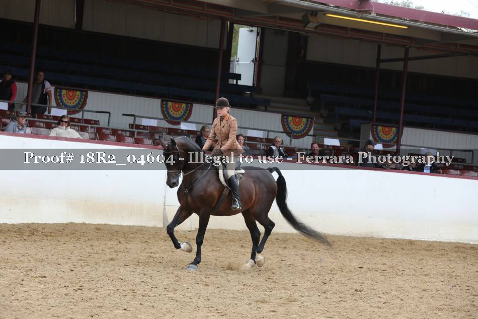 Proof 18R2_04604
