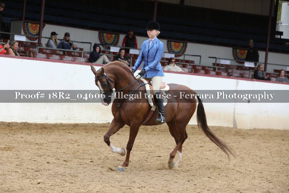 Proof 18R2_04606