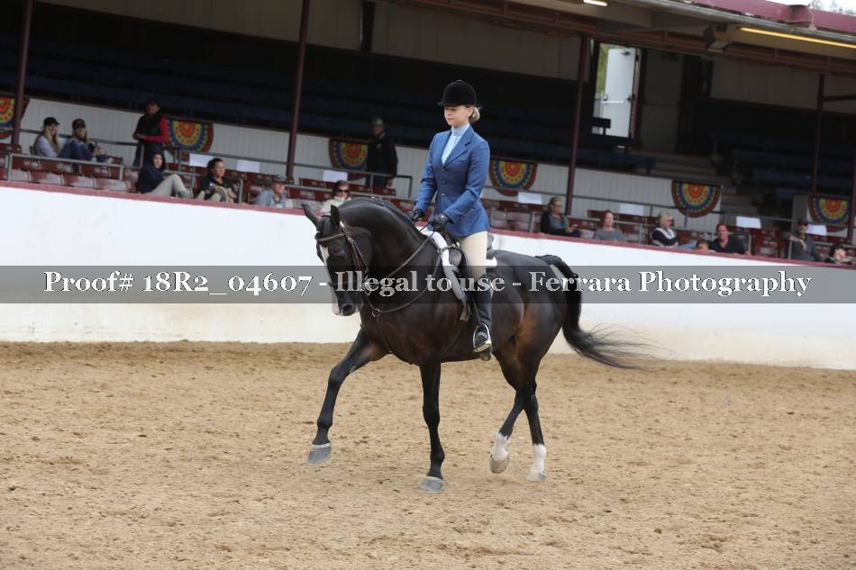 Proof 18R2_04607