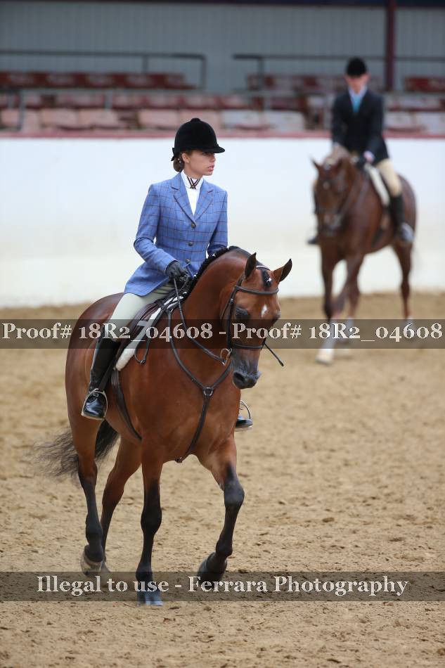 Proof 18R2_04608