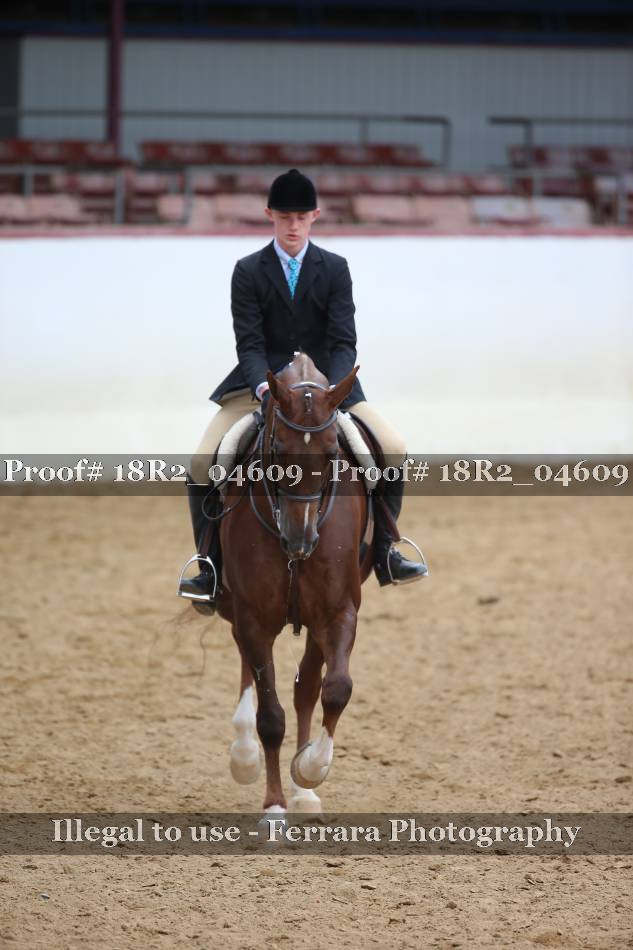 Proof 18R2_04609