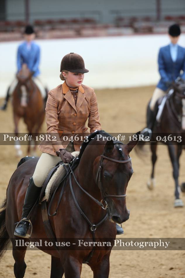 Proof 18R2_04613