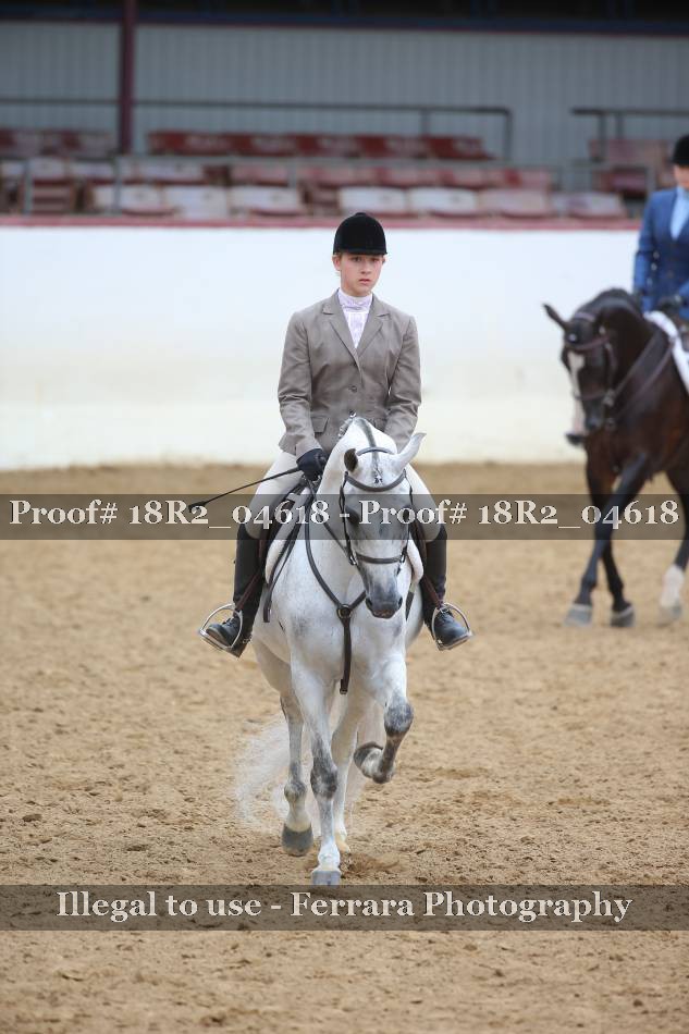 Proof 18R2_04618
