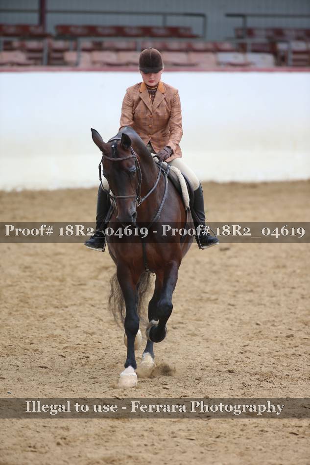 Proof 18R2_04619