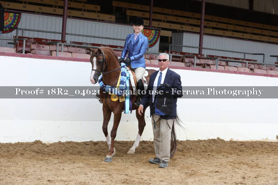 Proof 18R2_04621