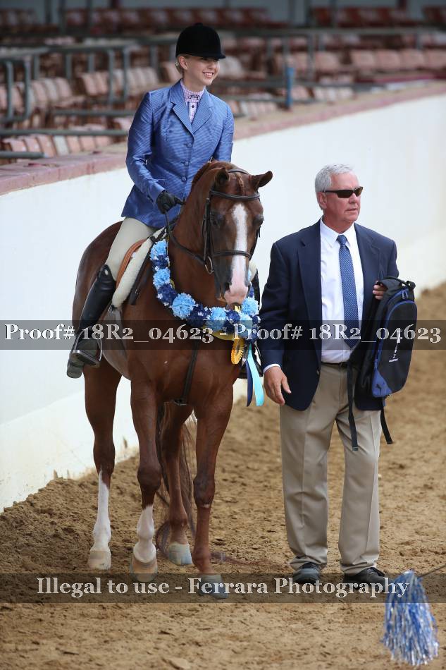 Proof 18R2_04623