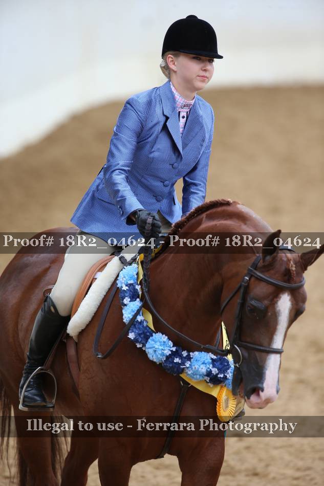 Proof 18R2_04624