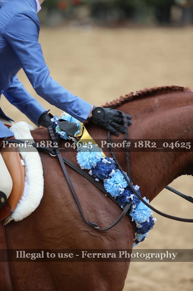 Proof 18R2_04625