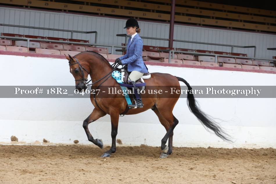 Proof 18R2_04627