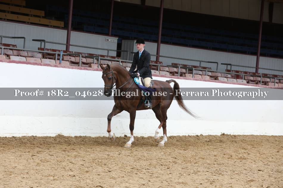 Proof 18R2_04628