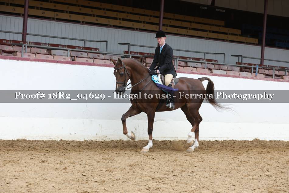 Proof 18R2_04629