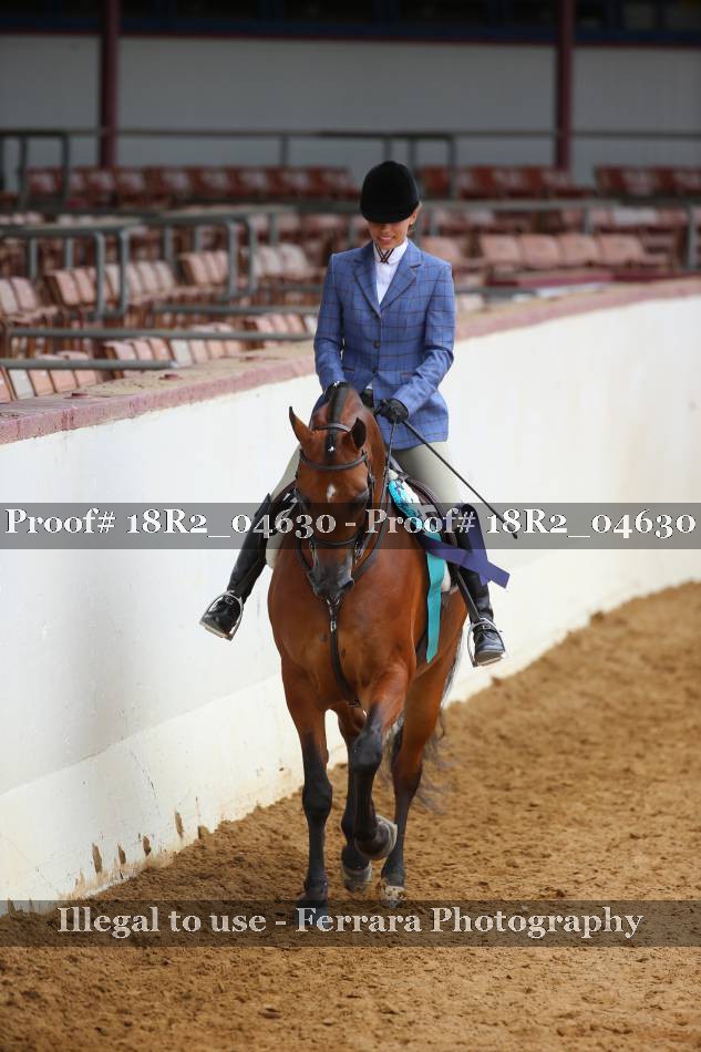 Proof 18R2_04630