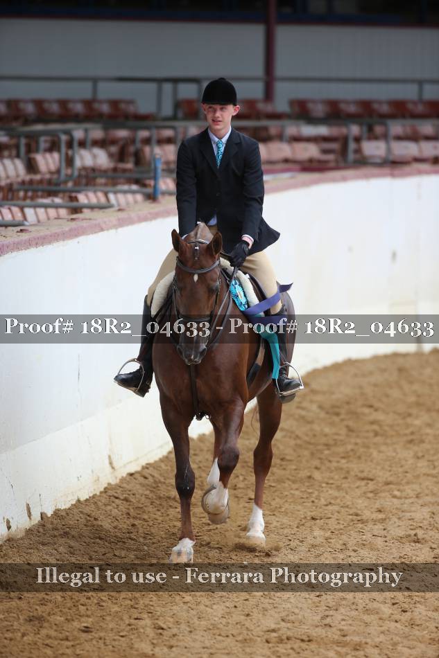 Proof 18R2_04633
