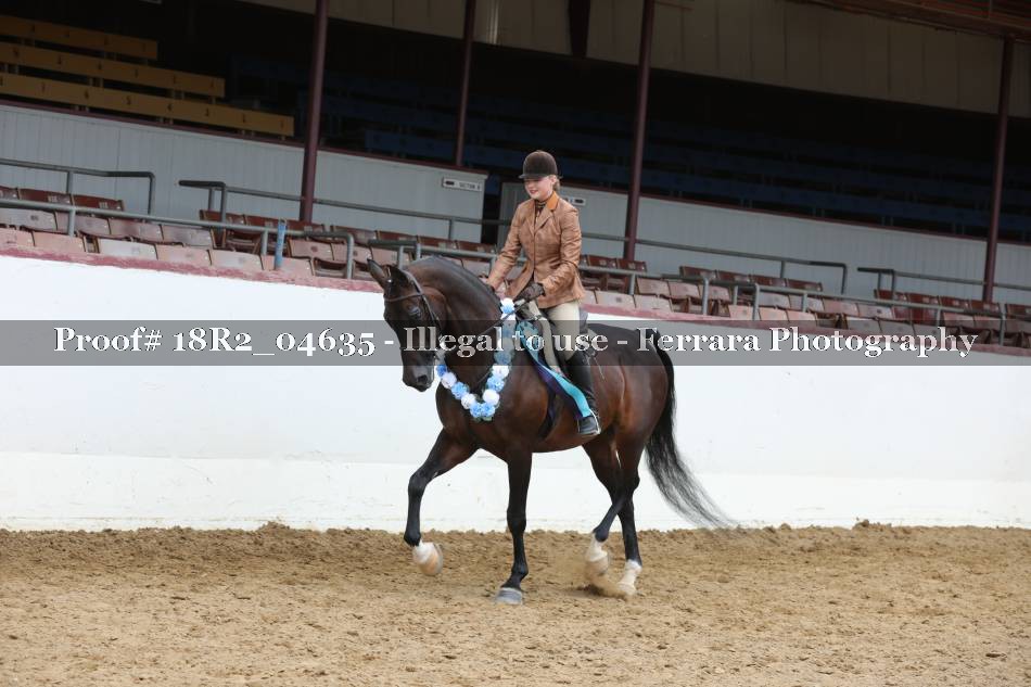Proof 18R2_04635