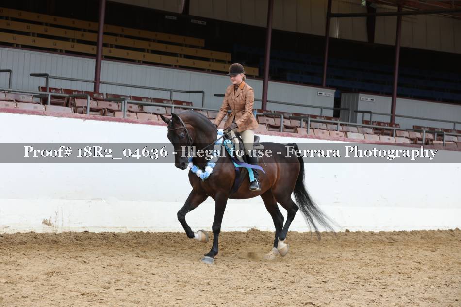 Proof 18R2_04636