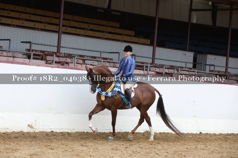 Proof 18R2_04638