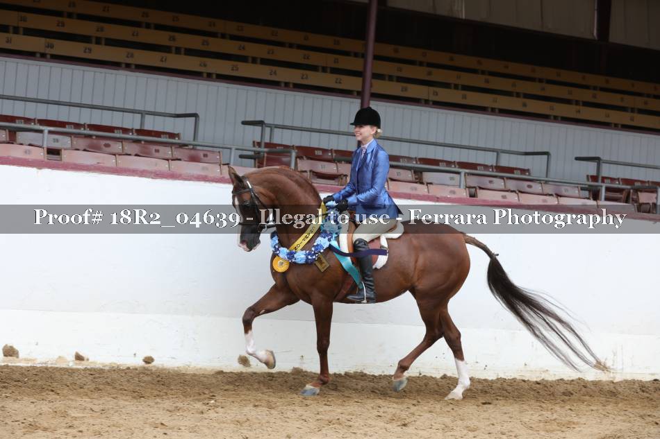 Proof 18R2_04639