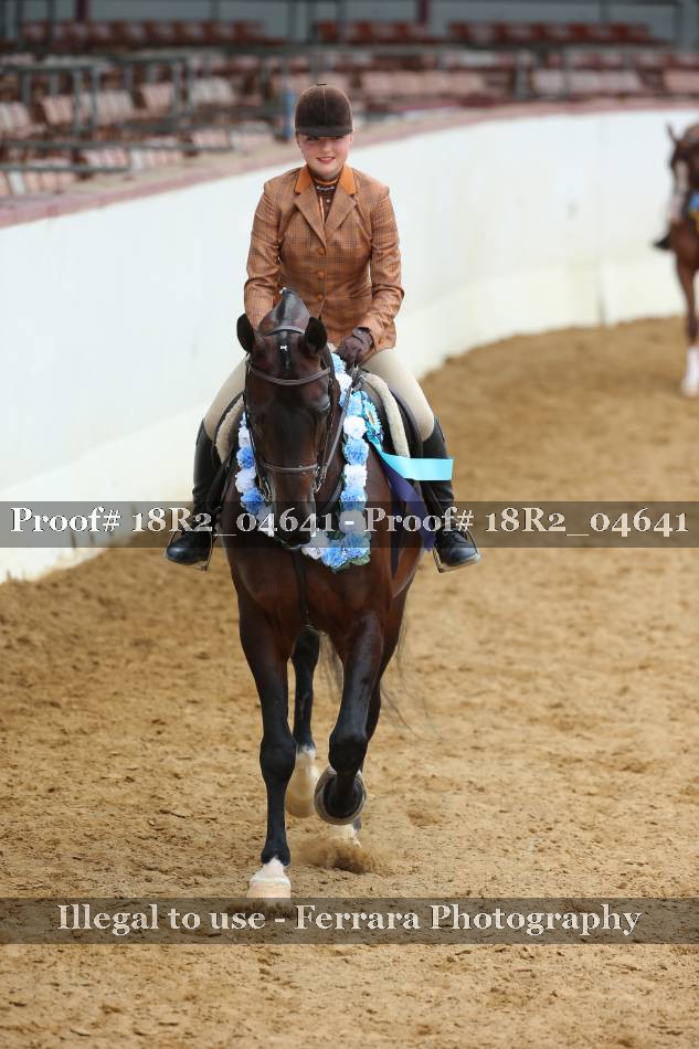 Proof 18R2_04641