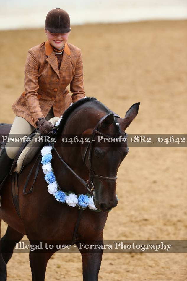 Proof 18R2_04642