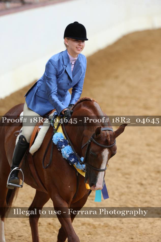Proof 18R2_04645