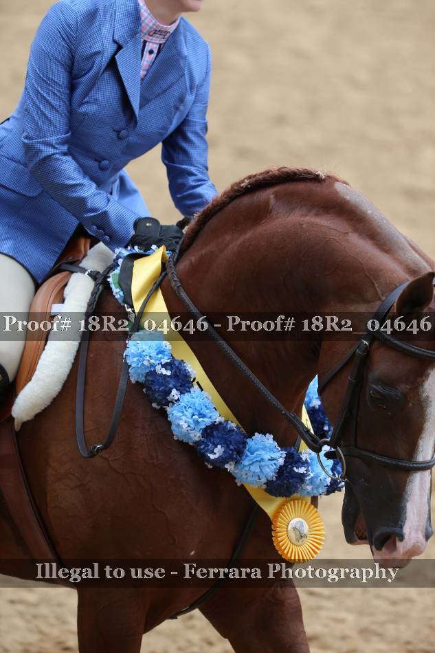 Proof 18R2_04646