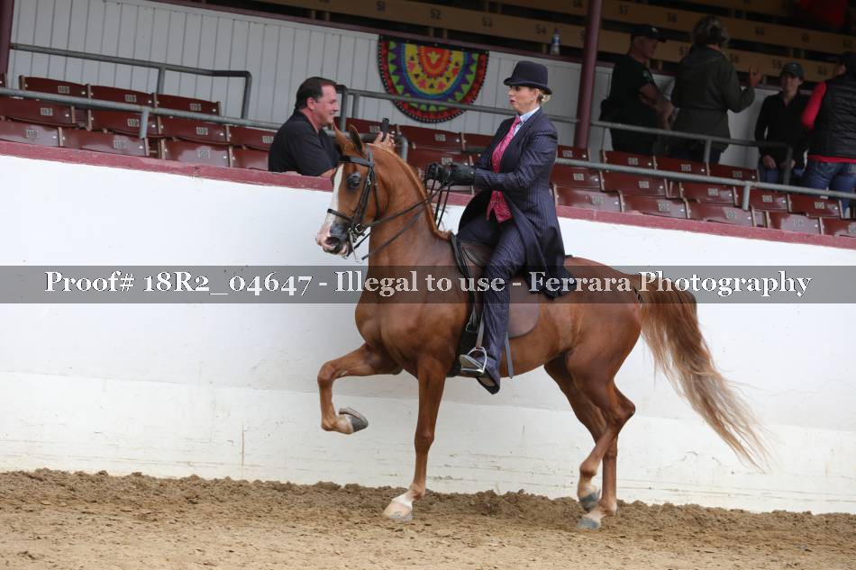 Proof 18R2_04647
