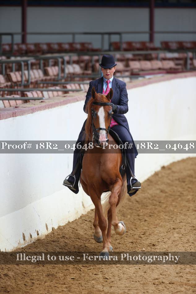 Proof 18R2_04648