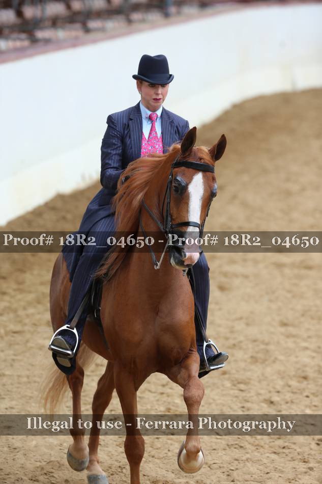 Proof 18R2_04650