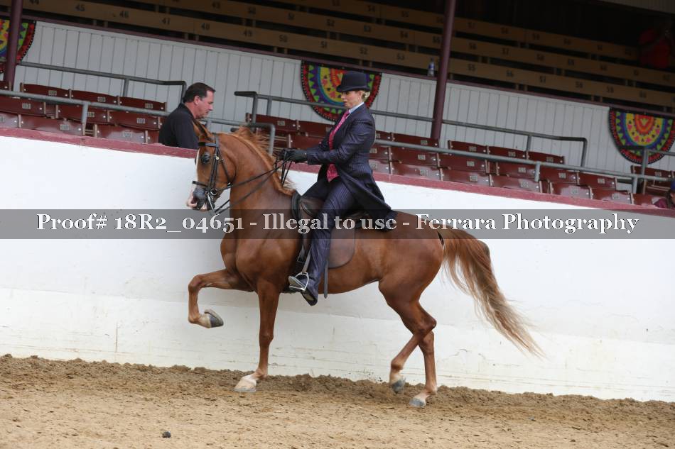 Proof 18R2_04651